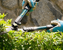Garden shears