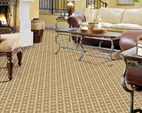 carpet in a hotel