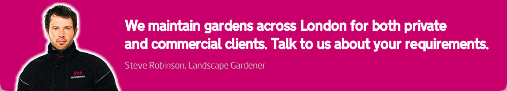 Maintaining gardens in North London