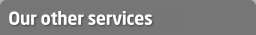 Our other services
