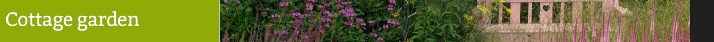 Cottage garden